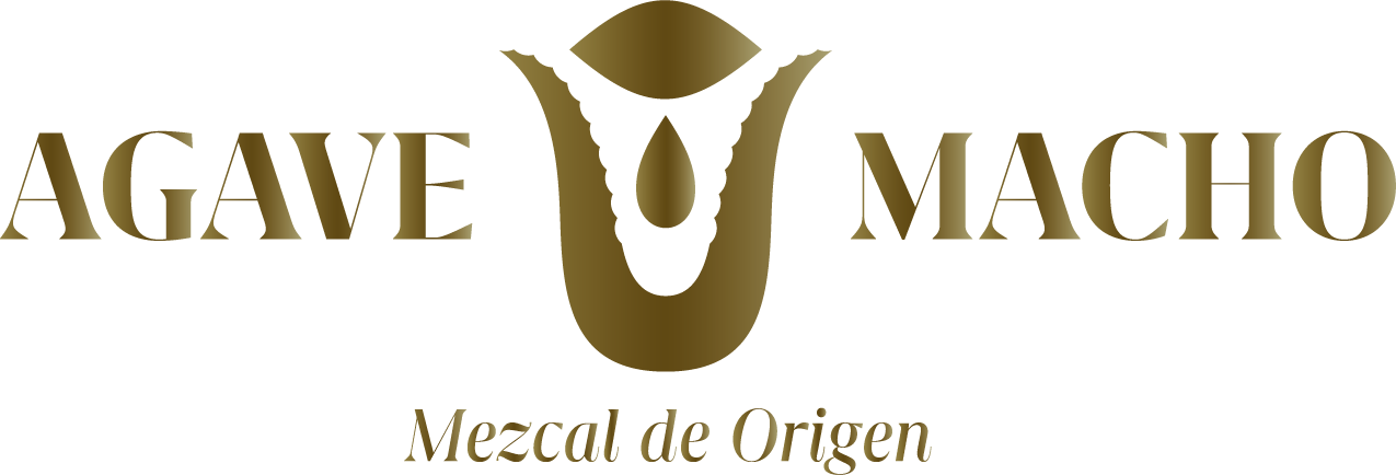 Agave Macho